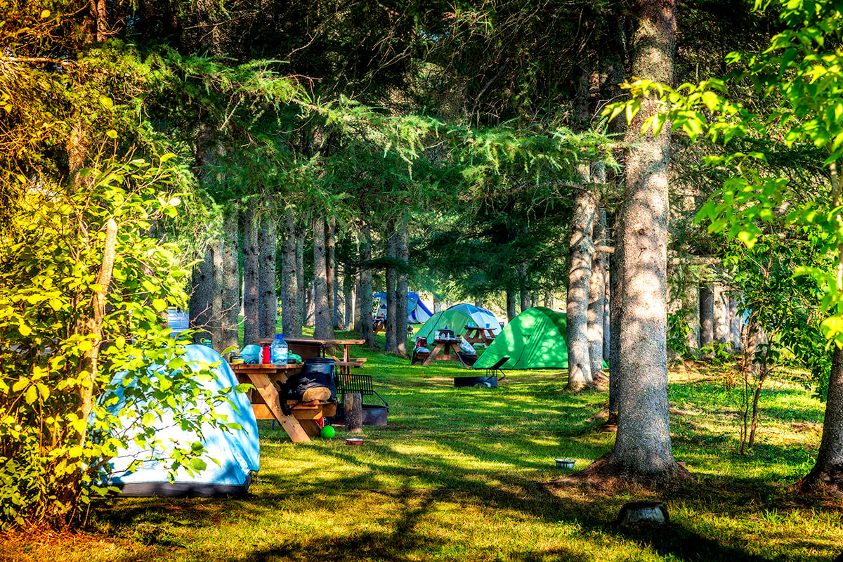 Camping de la Rivière Étoilée - Activity of the Marécage-des-Scots Regional Park